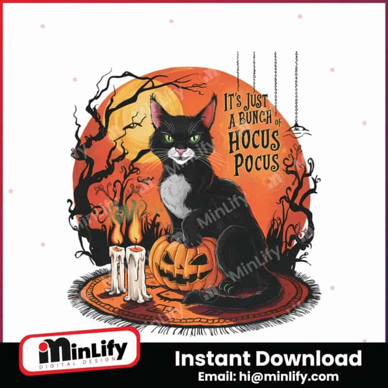 vintage-horror-cat-its-just-a-bunch-of-hocus-pocus-png