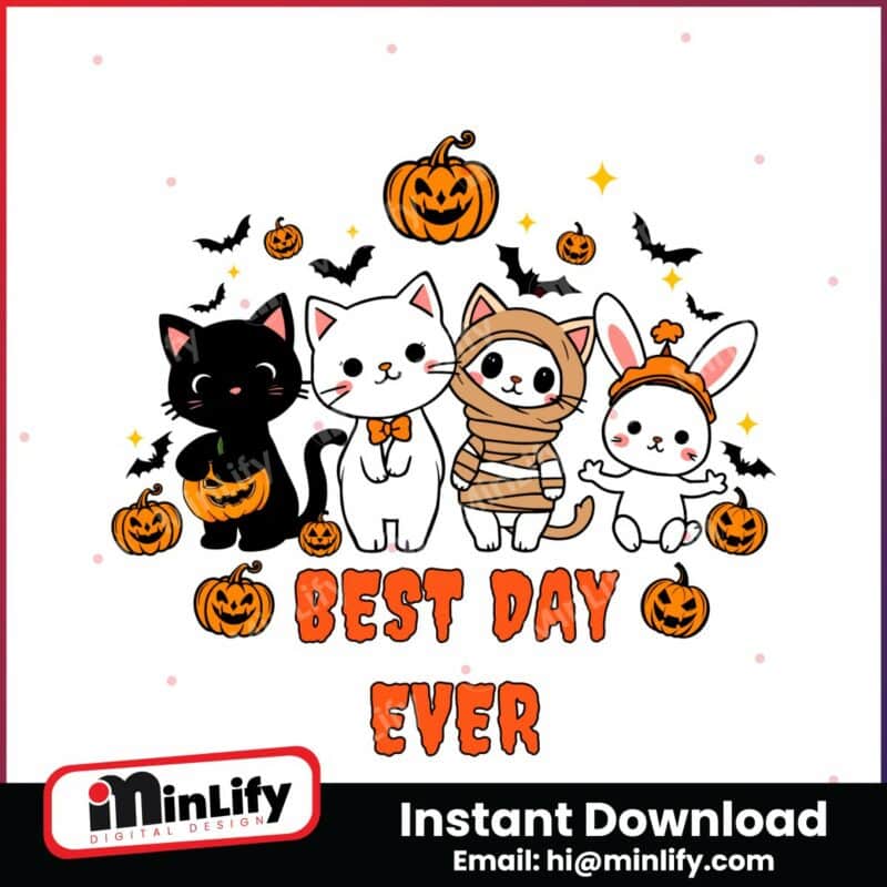 halloween-spooky-cat-pumpkin-svg