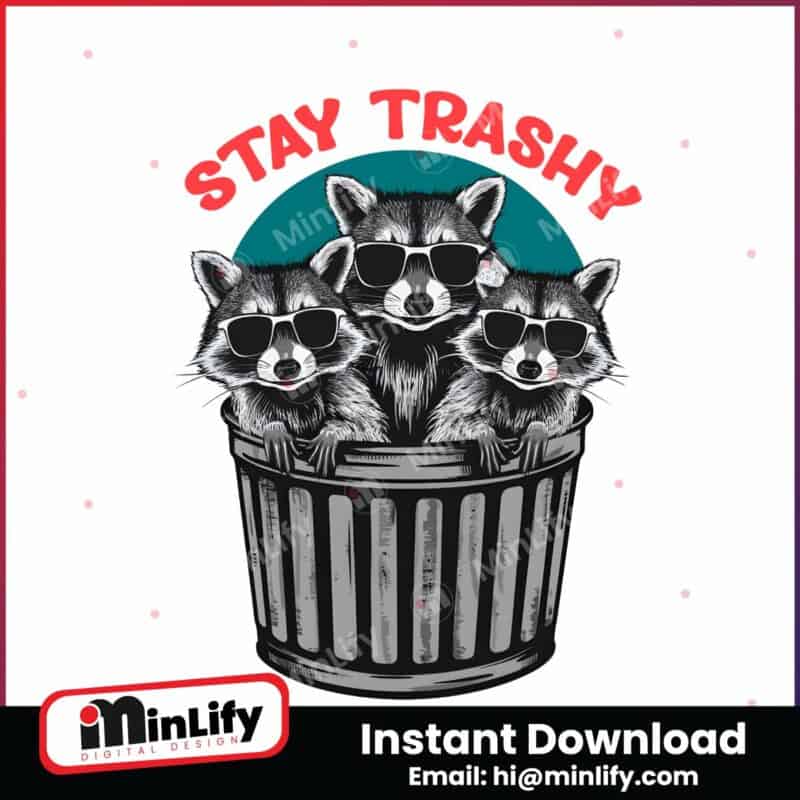 funny-stay-trashy-racoon-meme-png