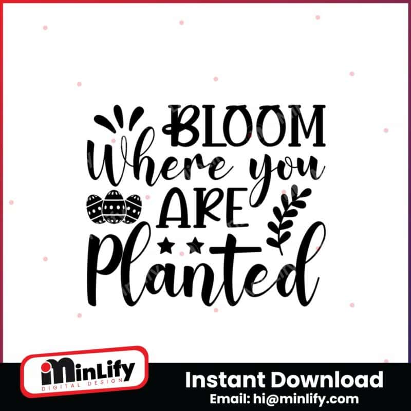 easter-svgbloom-where-you-are-planted-instant-download